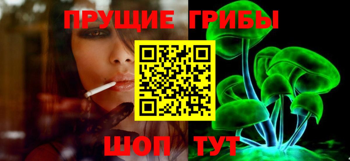 закладки  Галлюциногенные грибы Cubensis  Вход с VPN  Выборг  Галлюциногенные грибы Magic Shrooms 