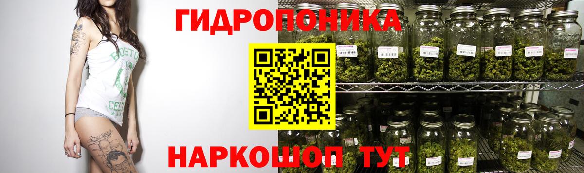 Конопля White Widow Выборг